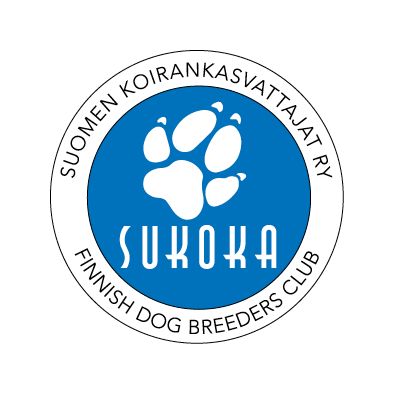 Asiaa suusta / hampaista